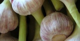 Ich werde Knoblauch Ägypten 4-8cm 533966454 verkaufen