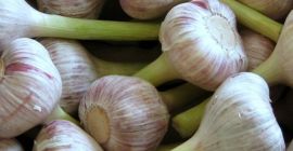 Hallo, ich verkaufe Knoblauch Blanco 533966454
