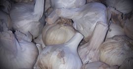 Здраво, Ја продајем Гарлиц Морадо 533966454