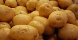 Frische Kartoffeln der Landwirtschaft 1) Regelmäßige Form 2) Gesunde