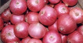 cipolla rossa e bianca fresca in un sacchetto a