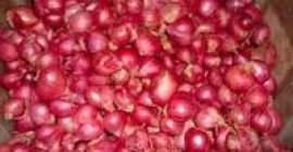 Сорт: червен лук, жълт лук, лилав лук спецификация: 6