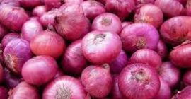 Ние предлагаме най-висококачествен пресен лук, който се използва за