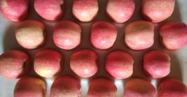 Ich werde frische Äpfel, Fuji, Champion und Elizabeth (WhatsApp: