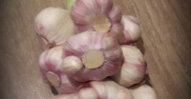 Здравствуйте, продаю чесночные косички, возможна цена за косичку. Подробнее