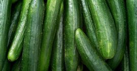 Свјежи и конзервирани краставац Тип: кисели краставац Спецификација +