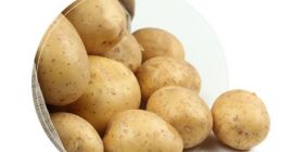 Spezifikationen 1 gute frische Kartoffel. 2 erfahrene fty 3