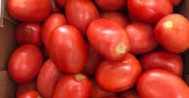 Наша компания является крупным поставщиком сельскохозяйственной продукции азиатского происхождения,