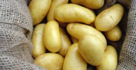 Patate vecchie 15kg, 25kg, il prezzo IVA esclusa include