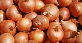 5+ cipolla, carote, patate vecchie, aglio Il miglior prezzo