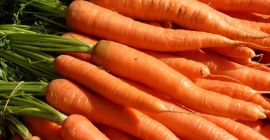 ceapă proaspătă calibru 5+, morcovi proaspeți, cartofi vechi, usturoi,