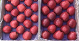 Ние доставяме американски пресни червени вкусни ябълки, високо качество.