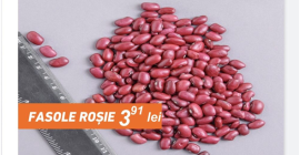 Rote Bohnen, Menge 20 Tonnen, Beutel 50 kg, Preis
