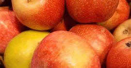 Frischer Apfel zur Verfügung und qualitativ hochwertige Befehl aus