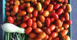 auguro a tutti voi un giorno di successo Pomodori