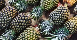 Grüße, meine Damen und Herren, es ist uns eine