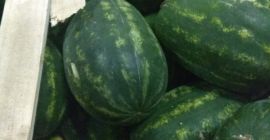 Venderò l&#39;anguria premium. Consegna dolce e succosa, fresca. Odbiór