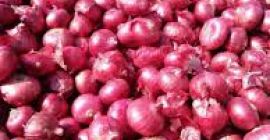 fresh onion: 1. Origin: Germany 2. packaging: 10kg /