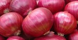 ceapa proaspata: 1. origine: Germania 2. ambalaj: 10kg /