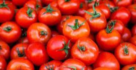 We are the leading producers of all kinds of