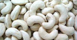 Specifiche dei grezzi di acagiù grado: bianco Wholes: W240,