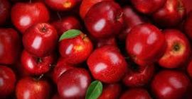 Frischer Apfel erhältlich und von hoher Qualität Befehl aus
