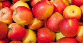 Frischer Apfel erhältlich und von hoher Qualität Befehl aus