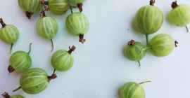 Аз ще продавам хубава зелена цариградско грозде, макурини.