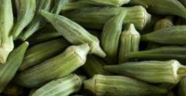 all okra varieties avaiable Baby Bubba Hybrid Blondy Burgundy
