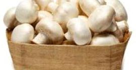 We are the main supplier of this product. Shelf