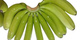 Siamo uno dei principali esportatori dalla Germania. Forniamo banana