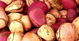 Einer dieser Artikel wird früher als der andere versendet.