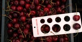 Buna ziua, am oferta de vanzare fructe de cires
