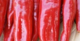 Продаем красный перец Происхождение товара Турция Очень хорошее качество
