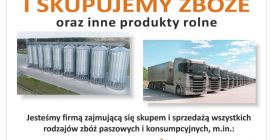 Voi vinde cereale pentru furaje și consum: grâu, triticale,