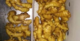 1. Вес: от 100 г до 150 г, от