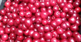 Ciliegie direttamente dal frutteto a Mieszkowice, senza intermediari. Inizio