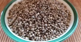 Hemp seed (Sativa) grade USO31 large, whole, mature hemp