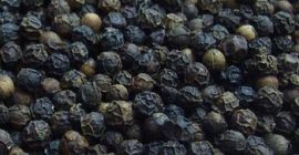 Spices Black/White Pepper 550gl/ 500gl/ Whole Black Pepper Vietnam