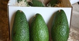 Наша компания является основным поставщиком сельскохозяйственной продукции из Южной