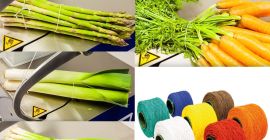 Эластичный шнур Cylastic для покалывания лука с луком на