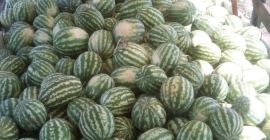 Wir verkaufen Wassermelonen mit Transport nach Warschau 4-10kg, nur