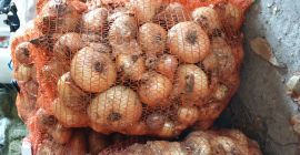 SC ANDRIPAN GEOCRIS SRL selling wholesale onions in 15kg