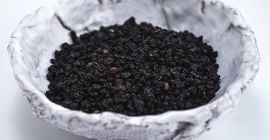 Boabele de culoare albastru-purpuriu închis ale arborelui bătrân, cunoscut