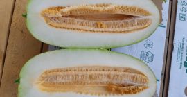Hello, for sale melon imported from sunny Uzbekistan, packing