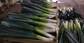 I will sell a commercial season, pallet quantities, pellet