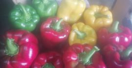 Здравейте, ще продавам червени, жълти и зелени чушки, премиум