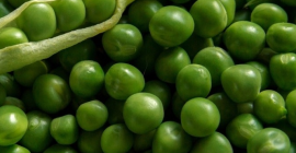 PEAS from the 2019 collection. QUANTITY: 3,000 TONS WITH