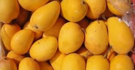 Il mango egiziano fresco è uno dei frutti più