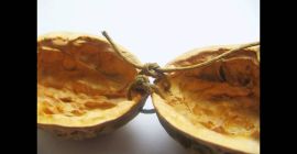 I will buy ONLY walnut, hazelnut and derivatives. Shell
